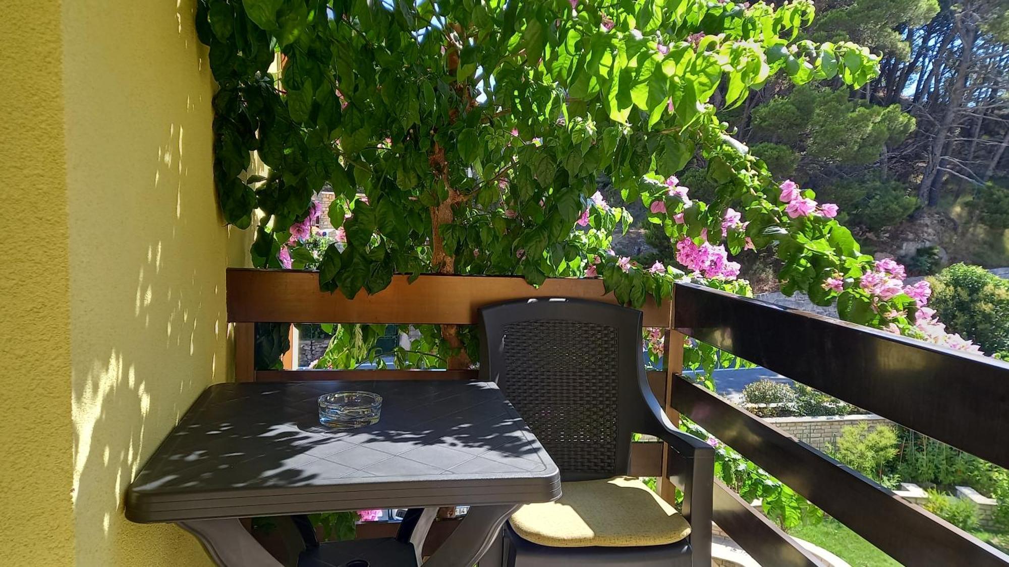 Bugenvilija Duće Extérieur photo